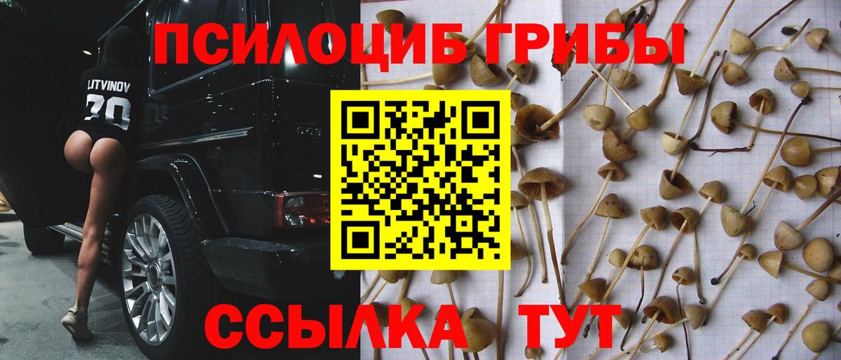 Галлюциногенные грибы MAGIC MUSHROOMS  Вход с VPN  купить наркотики цена  Рубцовск  Галлюциногенные грибы Psilocybine cubensis 