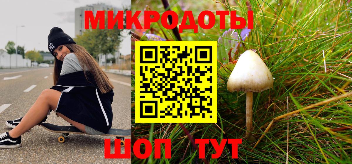 Псилоцибиновые грибы Cubensis Рубцовск